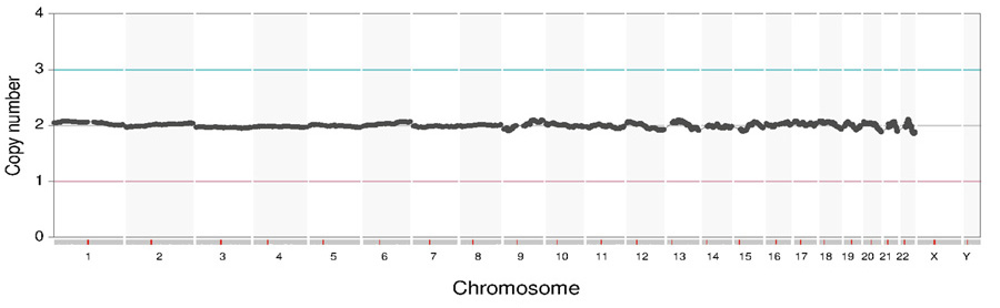 判定A：染色体の数に異常がない